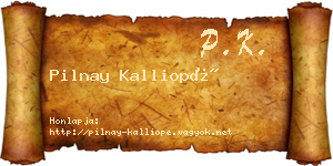 Pilnay Kalliopé névjegykártya